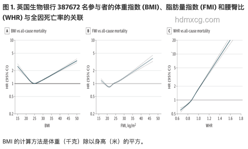 梨形身材VS其他身材：基因彩票引热议